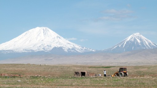 24-4- Ararat L1300971