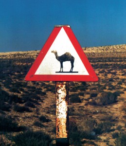 Libia cartello Dromedario