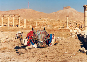 Palmyra in alto il Castello di Qalaat
