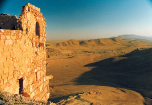 Palmyra dal Castello di Qalaat