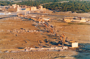 Palmyra le rovine dal Castello di Qalaat